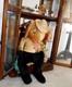 31 Giant Gund Easter Bunny Rabbit Cowboy From The 1940's