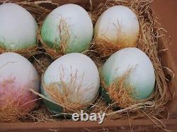 Adorable K's Collection Large Decorative Ceramic Easter Eggs Straw & Crate Lot