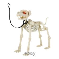 Animated White Plastic Skeleton Dog, 60 inch, Halloween Decoration Animated White Plastic Skeleton Dog, 60 inch, Halloween Decoration