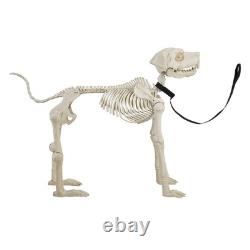Animated White Plastic Skeleton Dog, 60 inch, Halloween Decoration Animated White Plastic Skeleton Dog, 60 inch, Halloween Decoration