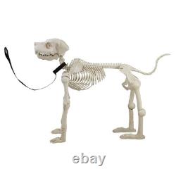 Animated White Plastic Skeleton Dog, 60 inch, Halloween Decoration Animated White Plastic Skeleton Dog, 60 inch, Halloween Decoration