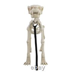 Animated White Plastic Skeleton Dog, 60 inch, Halloween Decoration Animated White Plastic Skeleton Dog, 60 inch, Halloween Decoration