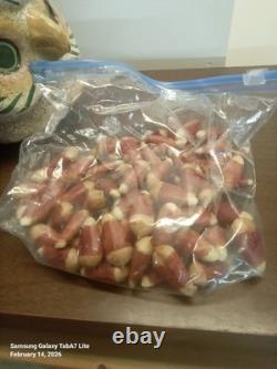 Bethany Lowe Paper Mache Halloween Candy Corn Charlie 22 Tall