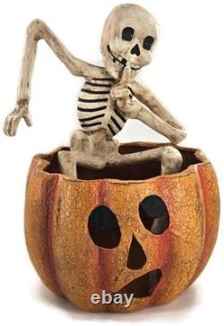 Bethany Lowe Skeleton in Jack-O'-Lantern Paper Mache Halloween Decor TD0060 Bethany Lowe Skeleton in Jack-O'-Lantern Paper Mache Halloween Decor TD0060