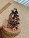 Christmas Music Box 6 1/4 Pink Bottle Brush Tree Rotating Wood Vintage Ribbon