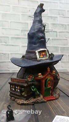 DEPT 56 Halloween Witch Hollow Toads and Frogs Withcraft Haunt 4036591 4051015