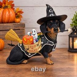 Danbury Mint Halloween Trick or Treat Dachshund Dog in Witch Costume Figurine