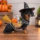 Danbury Mint Halloween Trick Or Treat Dachshund Dog In Witch Costume Figurine