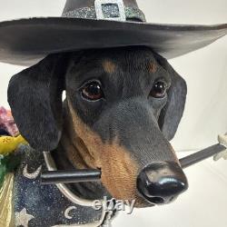 Danbury Mint Halloween Trick or Treat Dachshund Dog in Witch Costume Figurine