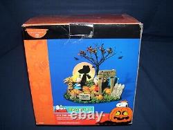 Department 56 Peanuts It's The Great Pumpkin Lit Scene Used #56.59095