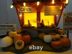 Dept 56 Patty's Pumpkin Patch Box Set #6005479 New & Perfect Dept 56 Patty's Pumpkin Patch Box Set #6005479 New & Perfect