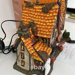 Dept 56 Sweet Trappings Cottage 4051012 Snow Village Halloween 2016 + Witch Trap