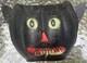Early German Black Cat Pumpkin Halloween