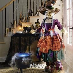 Grandin Road Katherine's Collection Witch Frog Tabletop Halloween Decor 9