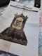 Grandinroad Halloween Foggy Skull Lantern New 161363
