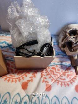 Grandinroad Halloween Foggy Skull Lantern New 161363 Grandinroad Halloween Foggy Skull Lantern New 161363