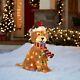 Holiday Living 27 Christmas Led Light Up Fluffy Doodle Dog Sold Out! 3723791