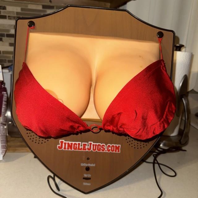 Jingle Jugs Wall Rack Christmas Holiday Funny Vintage Music Motion Activated