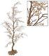 Katherine's Collection Platinum Pearl Tabletop Tree 48 18-639001 Set Of Two