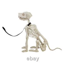 LARGE ANIMATED DOG SKELETON 5 Ft Outdoor Halloween Yard Decoratioin LARGE ANIMATED DOG SKELETON 5 Ft Outdoor Halloween Yard Decoratioin