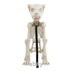 LARGE ANIMATED DOG SKELETON 5 Ft Outdoor Halloween Yard Decoratioin LARGE ANIMATED DOG SKELETON 5 Ft Outdoor Halloween Yard Decoratioin
