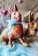 Lot 2 Antique West Germany Paper Mache Composition Easter Bunny Rabbits Read