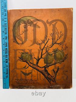 MEGA RARE 1876 Antique Halloween Scrapbook Album Cover Moon Owls Bats WOW