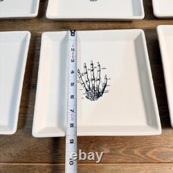 Magenta RAE DUNN 8.5Square Plate Skeleton Hand Set Of 6
