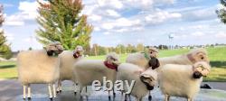 Match Stick Set of 7 Sheep Handmade Christmas Decoration Wooly Shepherd Pasture