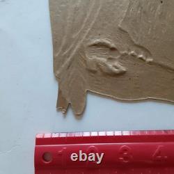 RARE Old Vintage Halloween Cardboard Diecut Die Cut Beistle Squirrel Owl 1930-50