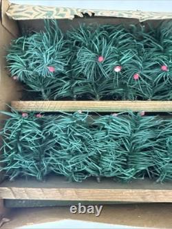 RARE Vintage The Evergreen Hedge Christmas Toy Fence Made In Germany With Box