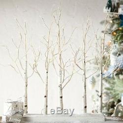 RAZ Imports 28 Lighted Birch Grove Trees White LED Lights Christmas New