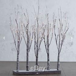 RAZ Imports 30 Lighted Birch Grove Trees White LED Lights Christmas New 3800926
