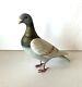 Rare Antique Paper Mache Pigeon / Dove German Xmas Candy Container
