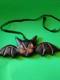 Rare Primitives By Kathy Johanna Parker Halloween Double Sided Hanging Bat