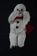 Rare Vintage Knickerbocker Christmas Snowman 10.5 Plush