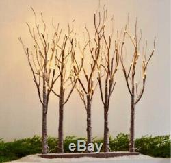 Raz Imports 30 CHRISTMAS LIGHTED TREE GROVE 3800926 NEW! SuPeR PReTTy