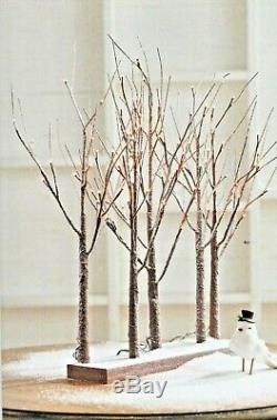 Raz Imports 30 CHRISTMAS LIGHTED TREE GROVE 3800926 NEW! SuPeR PReTTy