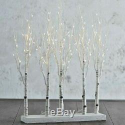 Raz Imports 30 LIGHTED BIRCH TREE GROVE CHRISTMAS Decor 3800927 NEW MINT PreTTy