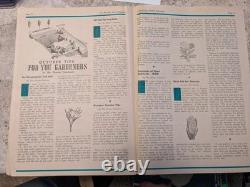 Scarce 1930's Advertising Halloween Solcum Hardware News Scottsville Ny