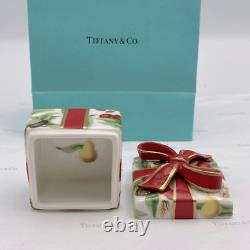 Tiffany & Co. Holiday Garland Gift Box Christmas Porcelain With Pouches
