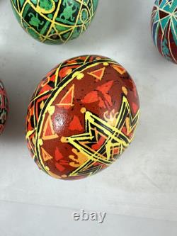 Vtg 70s-80s Ukrainian Easter Eggs Pysanky Hand Painted Real Blown Lot Of 10 Vtg 70s-80s Ukrainian Easter Eggs Pysanky Hand Painted Real Blown Lot Of 10