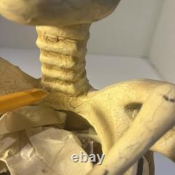 Vtg Bethany Lowe Halloween Skeleton Candy Container Paper Mache Retired -Read
