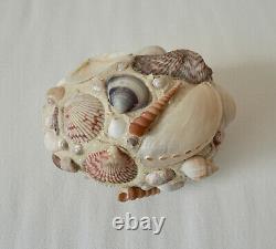 WENDY ADDISON Shell Art Egg Box Handmade Original 1996