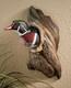 Wild Wings Wildlife D Cor Realistic Glass Eyes Wood Multicolor 16 Inch Standard
