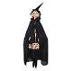 Zelena Sorcerer Witch Gathered Traditions Joe Spencer Halloween New 2024